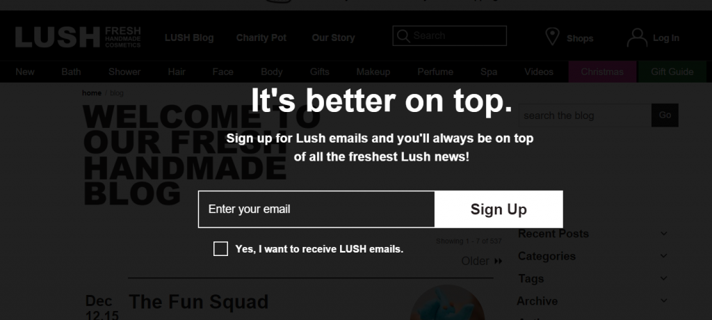 screenshot of Lush blog CTA
