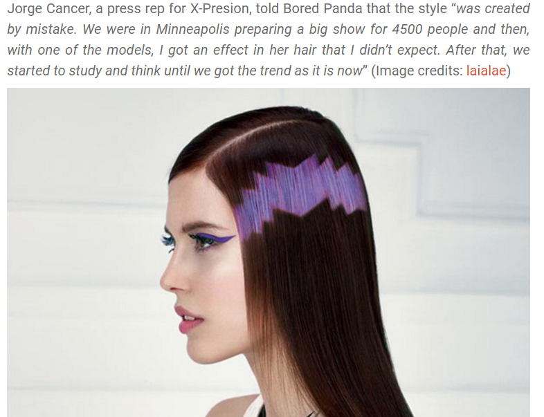screenshot of hair design on a website