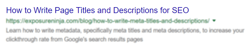 Screenshot of a page title in Google's search results