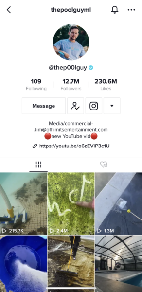 Screenshot of The P00l Guys tiktok