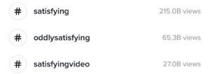 TikTok views for satisfying hashtags