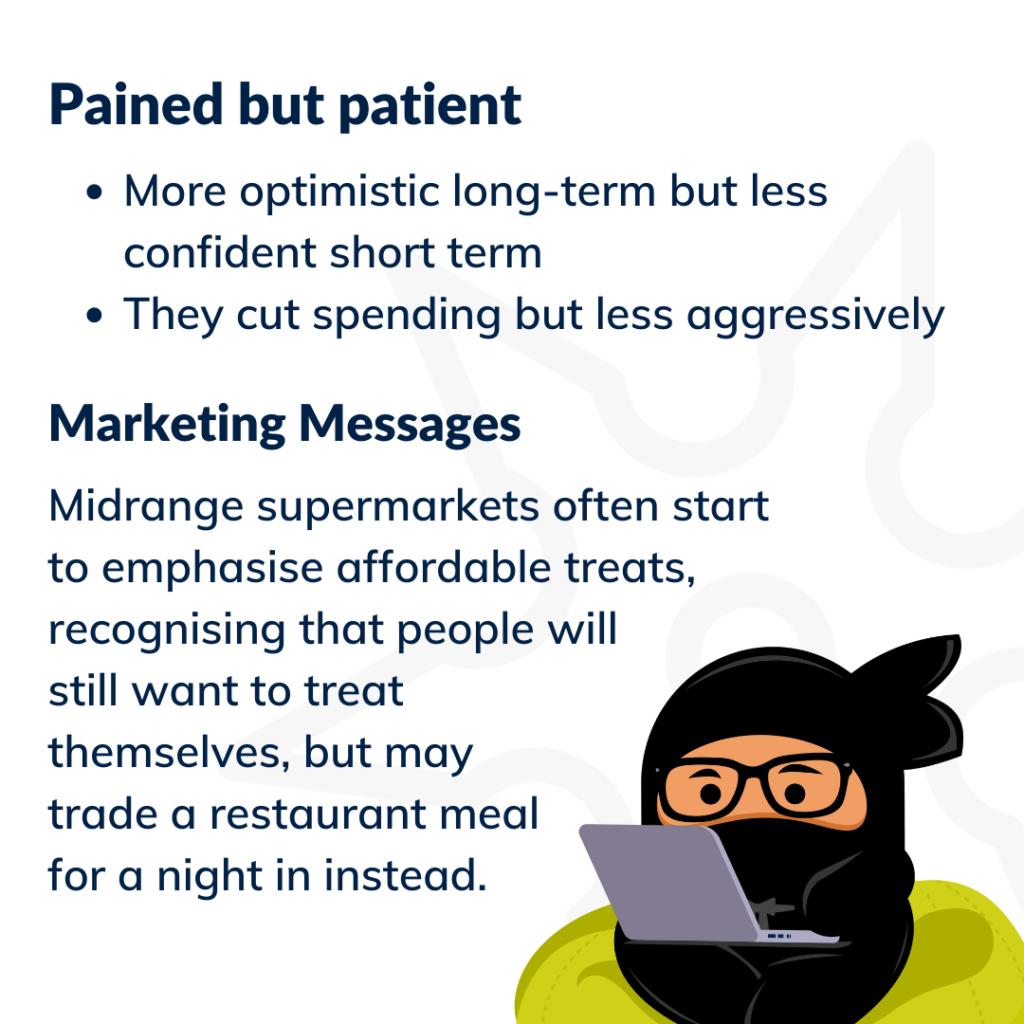 Graphic with the definition of the "Pained but Patient" customer segment.