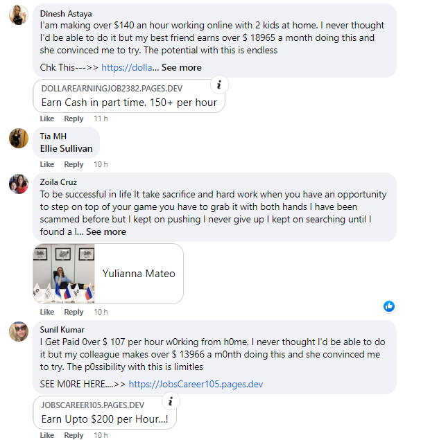 Screenshot of spam comment on SHEIN's facebook