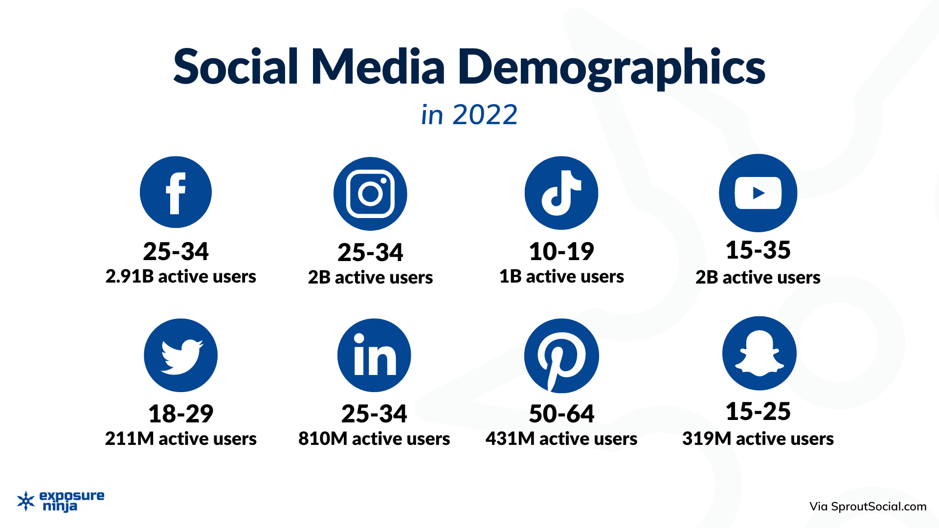 Infographic showing different social media demographics