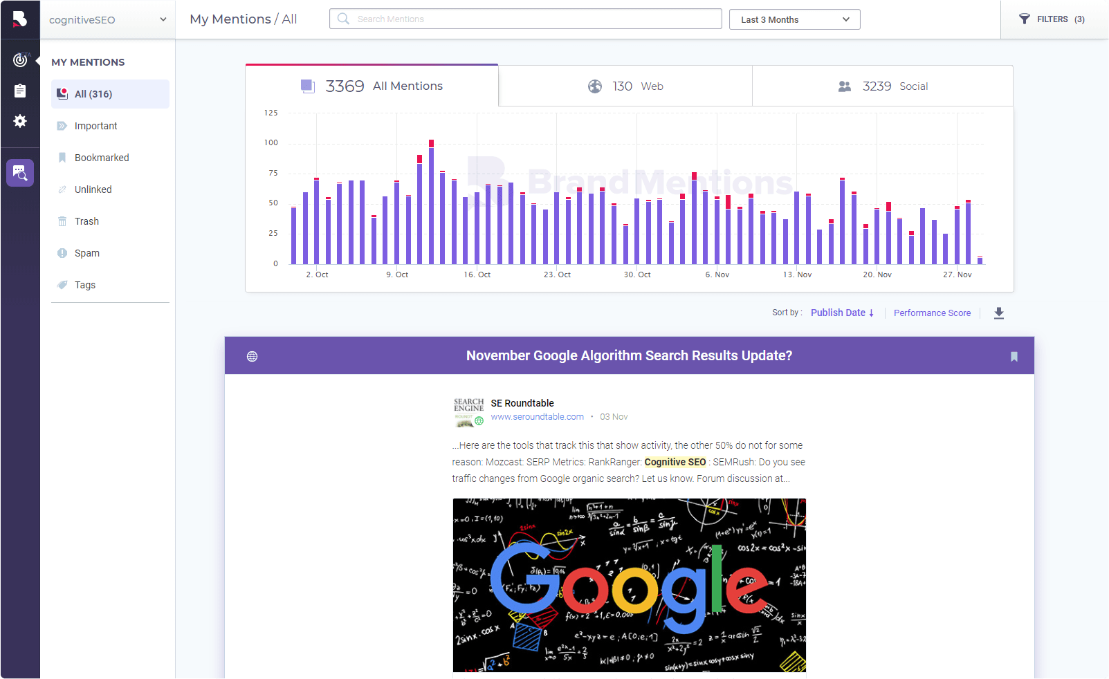 Screenshot of Brand Mentions