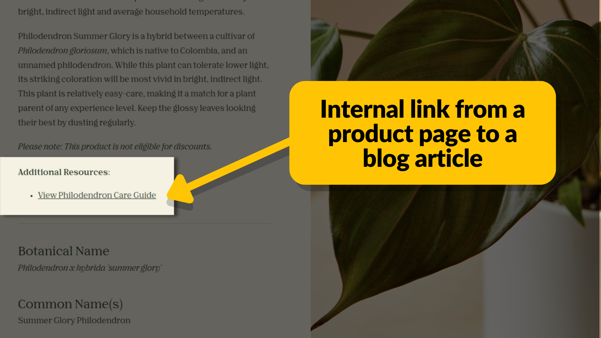 Example of an internal link. Text reads "Internal link from a product page to a blog article"