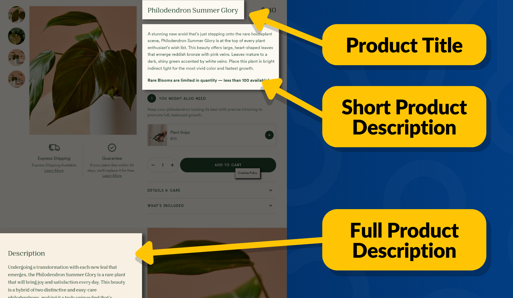 Example of a page title, short product description and full product description on a WooCommerce website