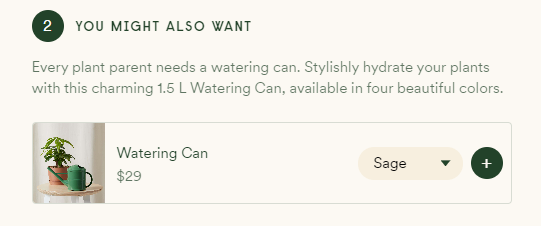 Example of a promoted product on a product page in WooCommerce