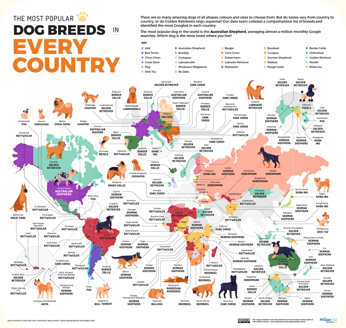 Infographic of dog breeds around the world