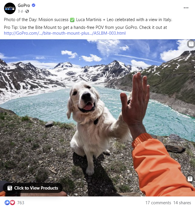 Photo of a post from GoPro on Facebook. It shows a dog high fiving a person