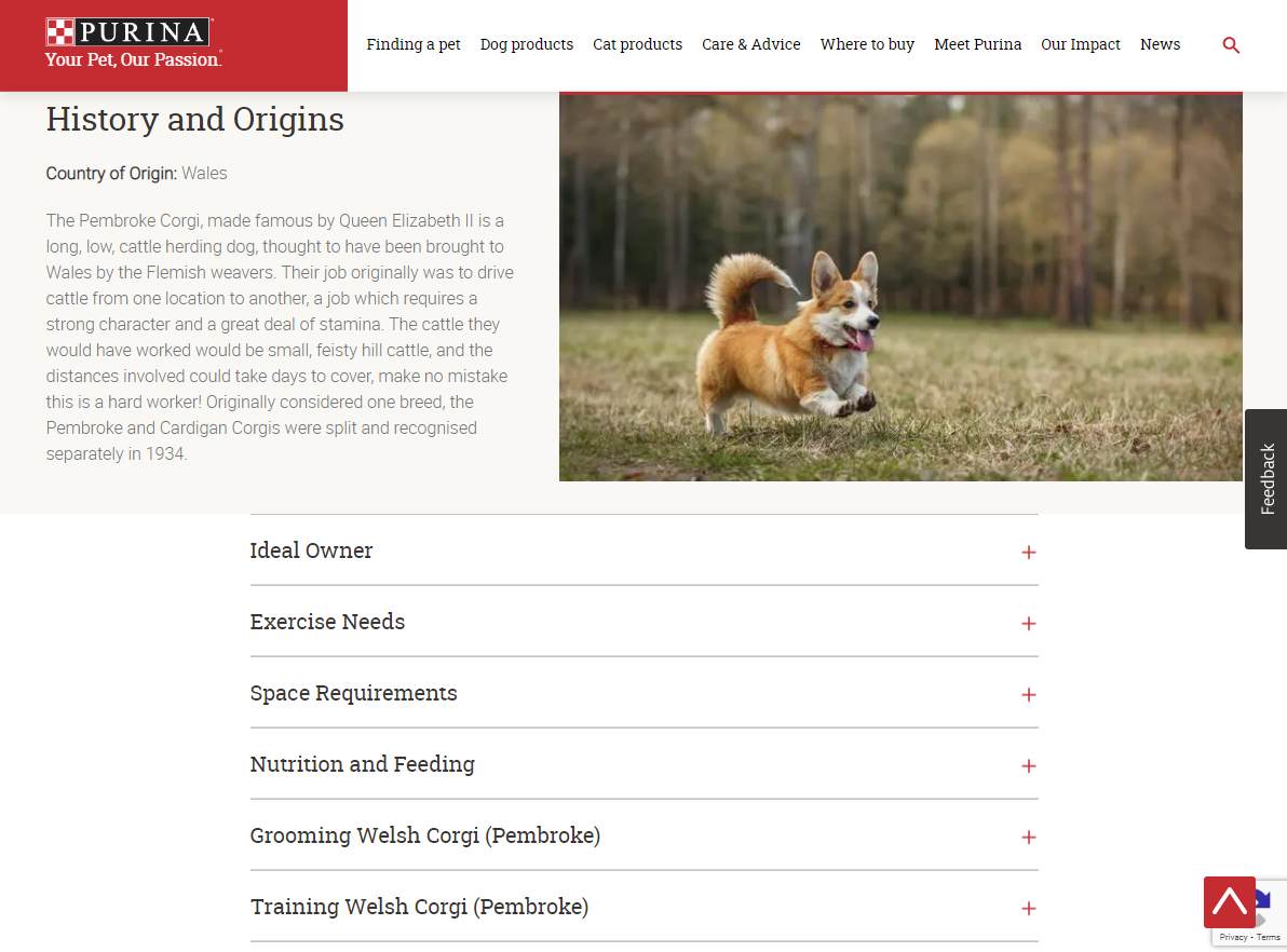Screenshot of Purina quiz results